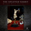 "The Uplifted Rabbit" by Dr Franky Dolan