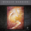 "Winged Warrior" by Dr Franky Dolan