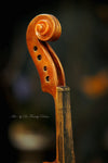 "Violin Spirit" by Dr Franky Dolan