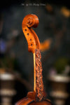 "Violin Spirit" by Dr Franky Dolan